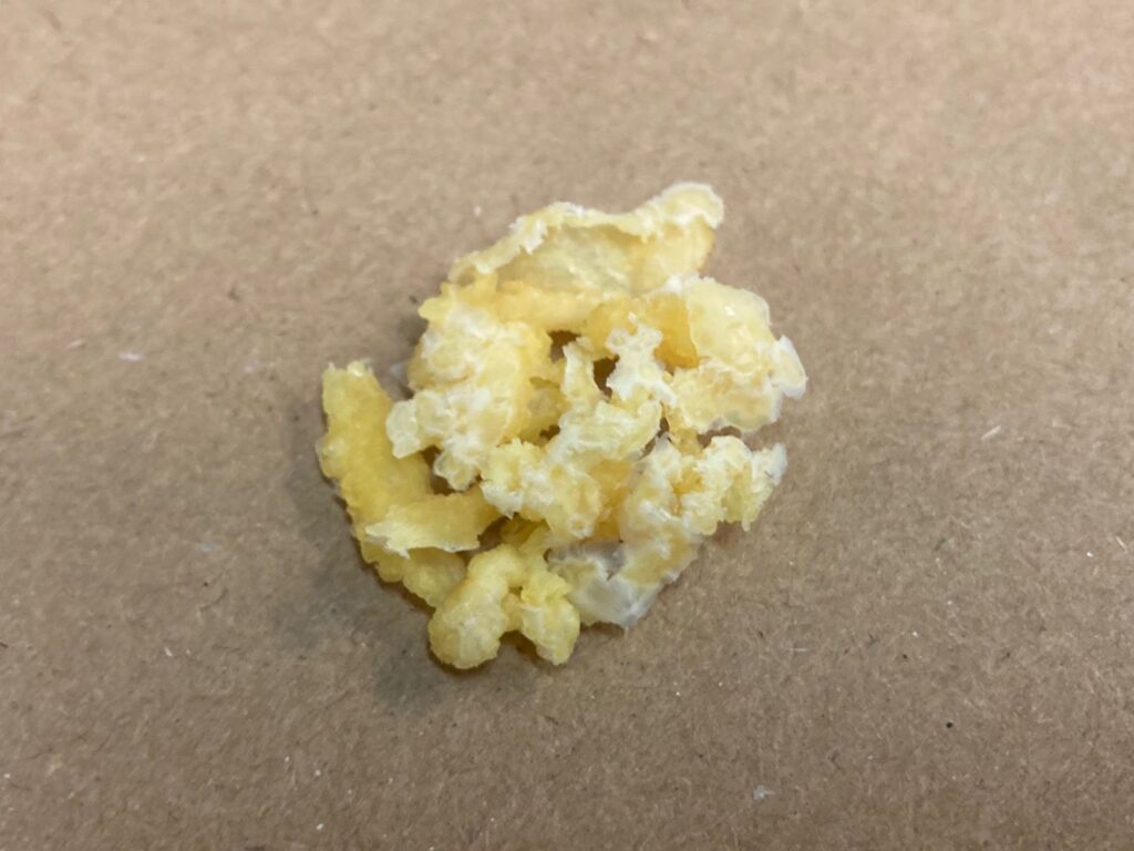 milk kefir grains