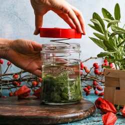 fermenting vegetables and fruits